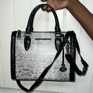 Brahmin Black Laelia